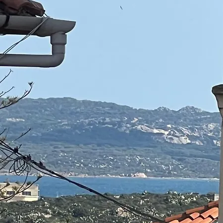 In Centro Con Giardino E Terrazza *