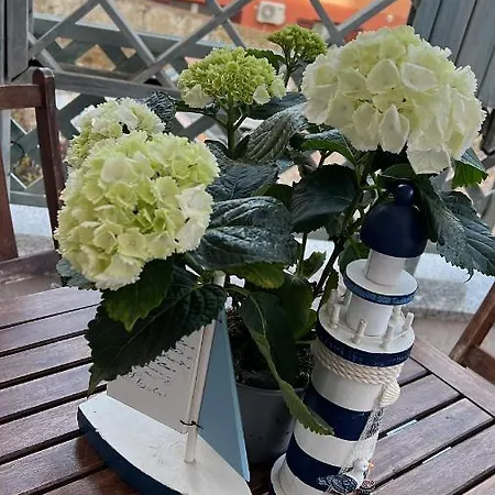 In Centro Con Giardino E Terrazza Apartament La Maddalena (Sassari)